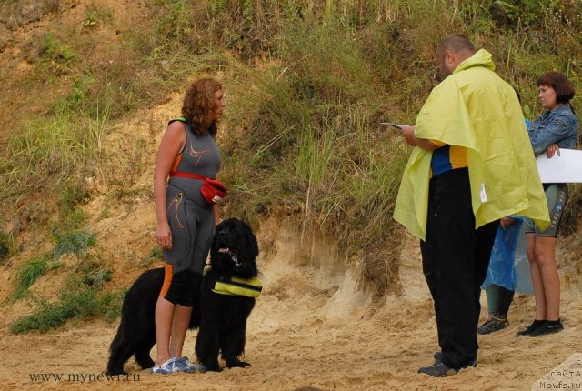 Фотография № 104346