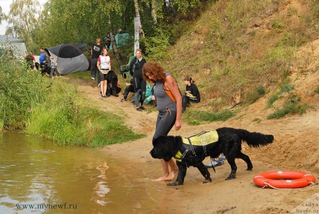 Фотография № 104347