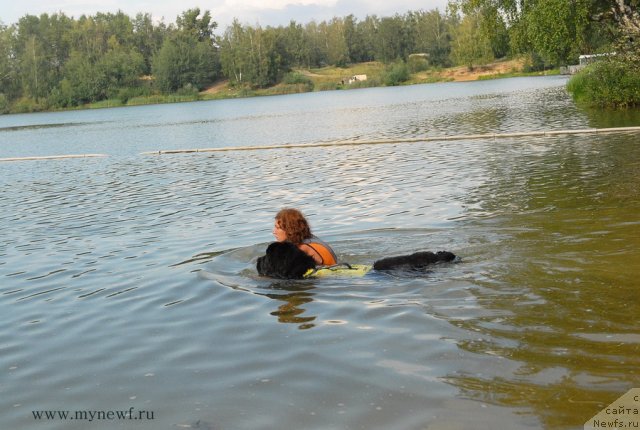 Фотография № 104348