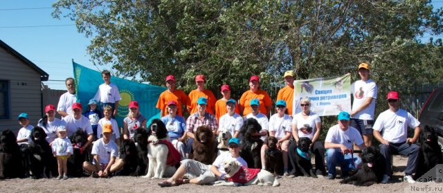 Фотография № 104360