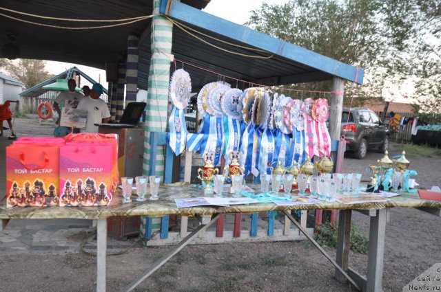 Фотография № 104361