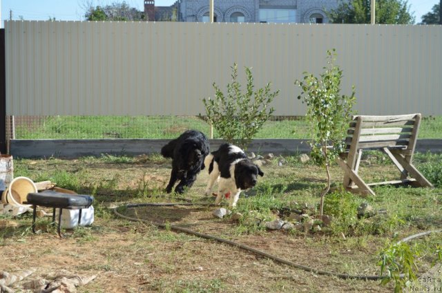 Фотография № 104382