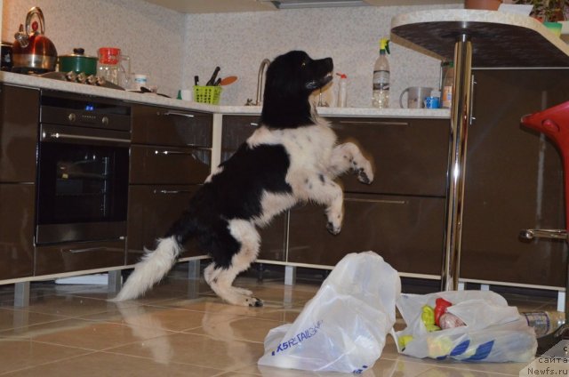 Фотография № 104387