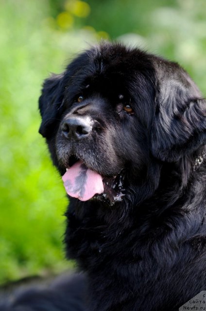 Фотография № 104392