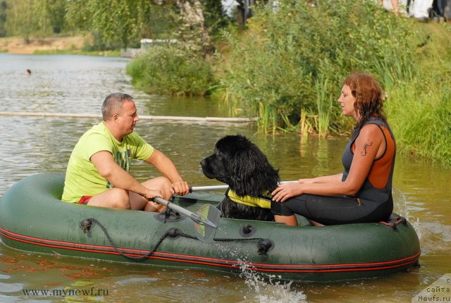 Фотография № 104408