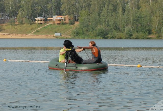 Фотография № 104411