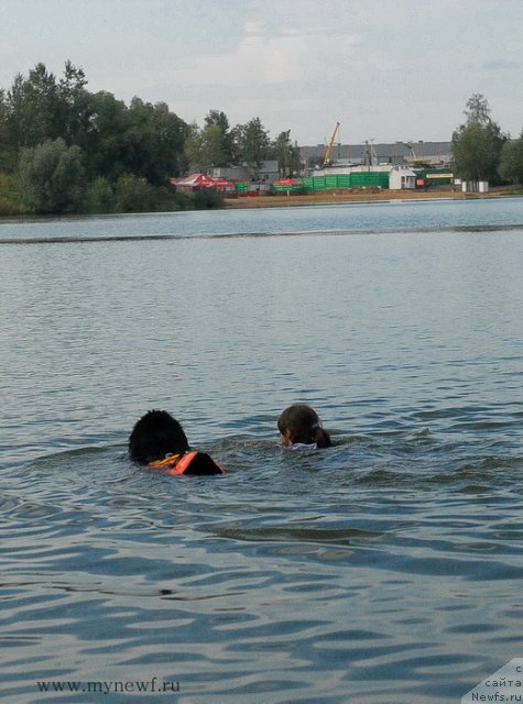 Фотография № 104417