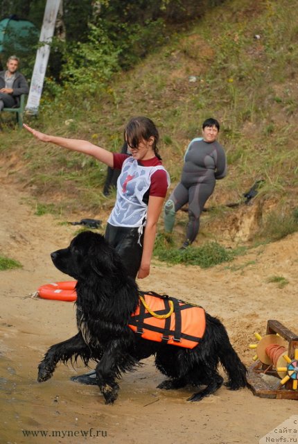 Фотография № 104420