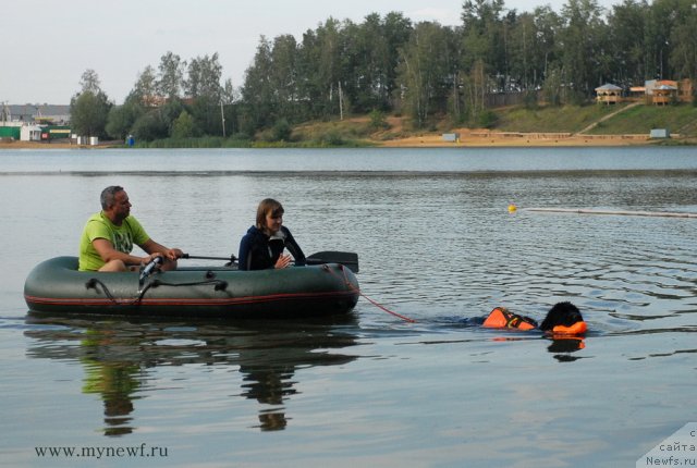 Фотография № 104424