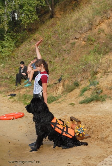 Фотография № 104425