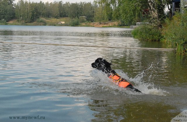 Фотография № 104427