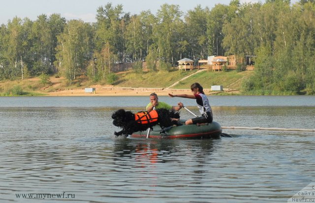 Фотография № 104431