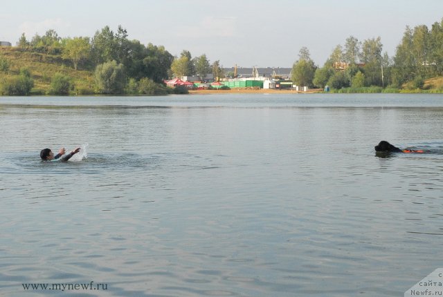 Фотография № 104432