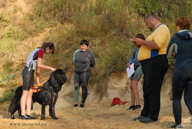 Фотография № 104439