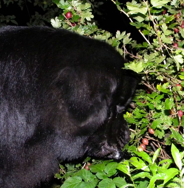 Фотография № 104453