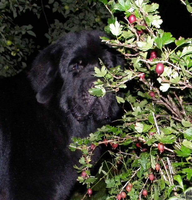 Фотография № 104457