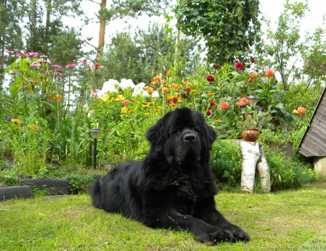 Фотография № 104458