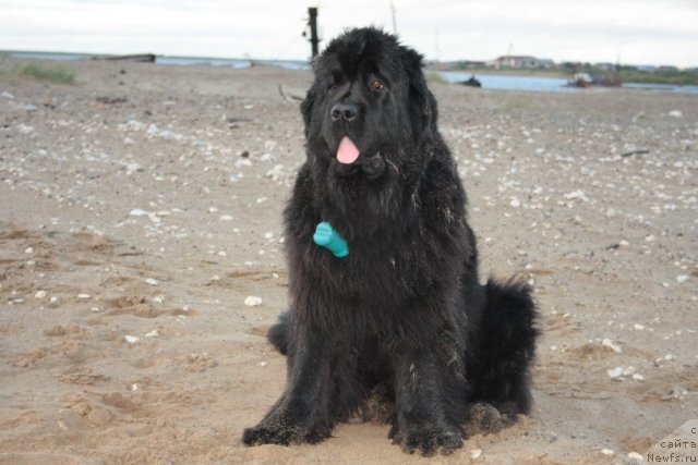 Фотография № 104479