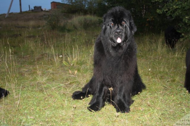 Фотография № 104544