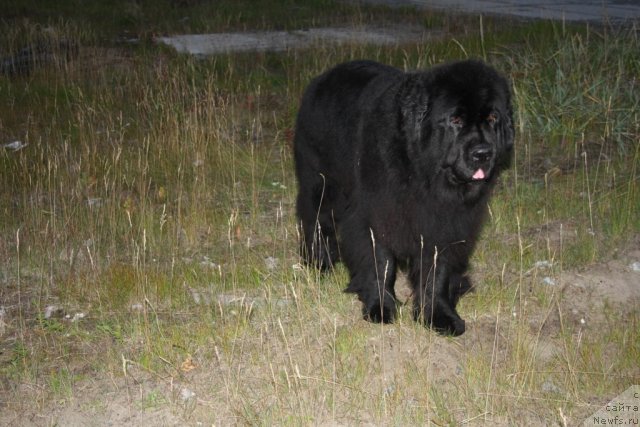 Фотография № 104545