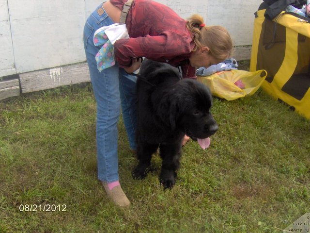 Фотография № 104668