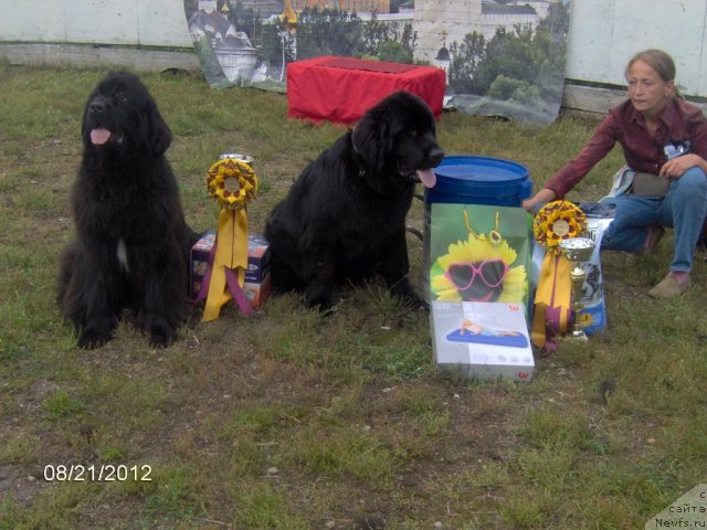 Фотография № 104672