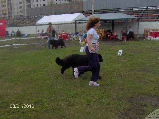 Фотография № 104673