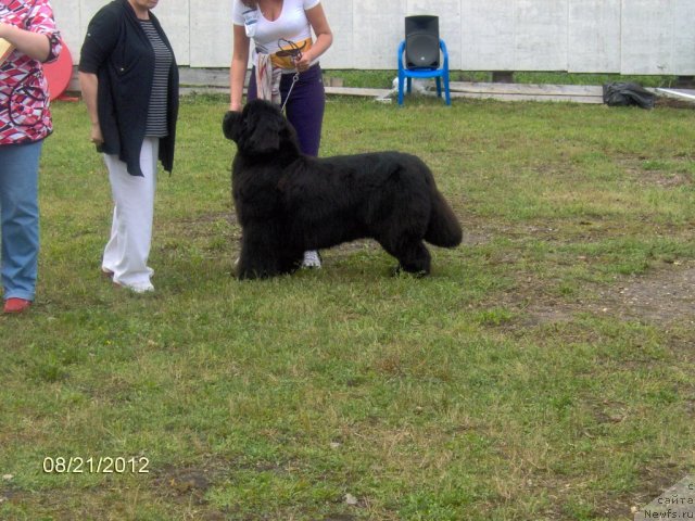 Фотография № 104674