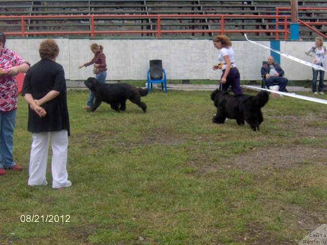 Фотография № 104675