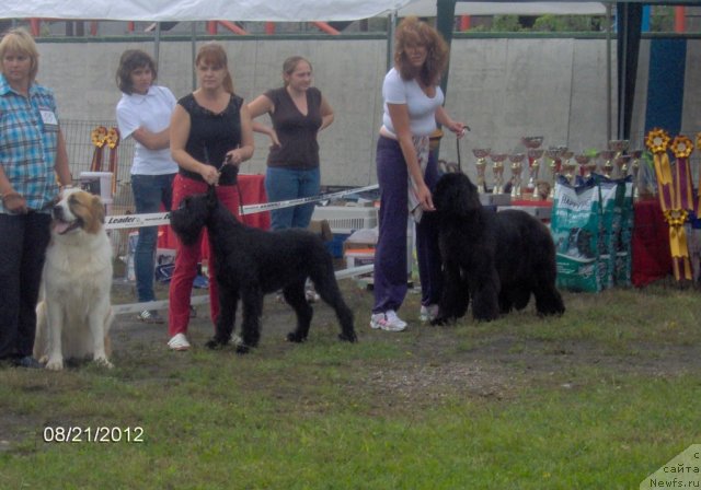 Фотография № 104676