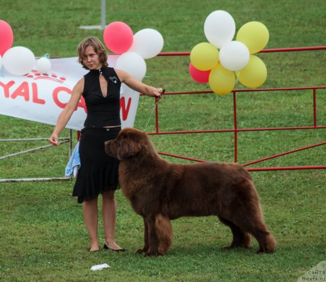 Фотография № 104678