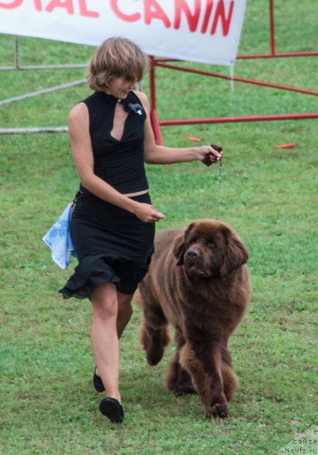 Фотография № 104679