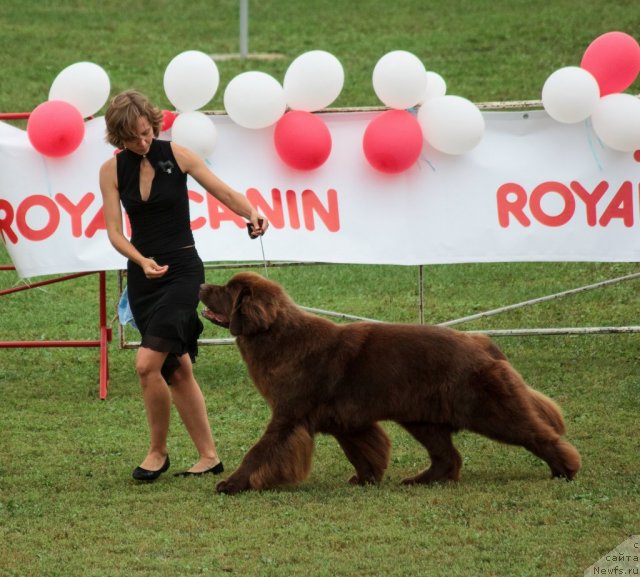 Фотография № 104680