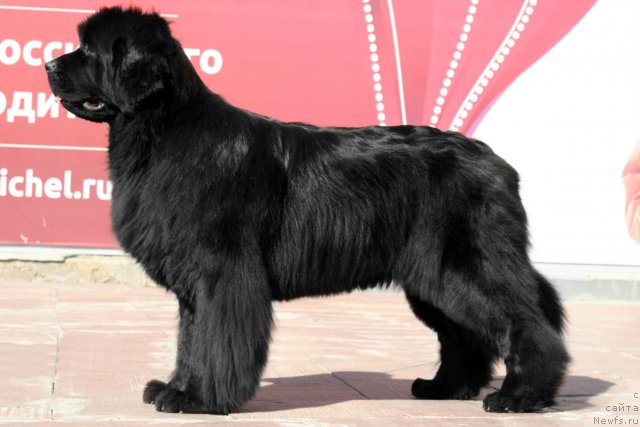 Фотография № 104748