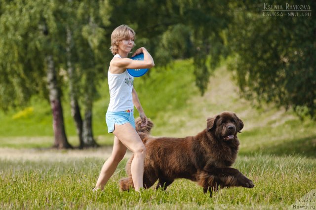 Фотография № 104750