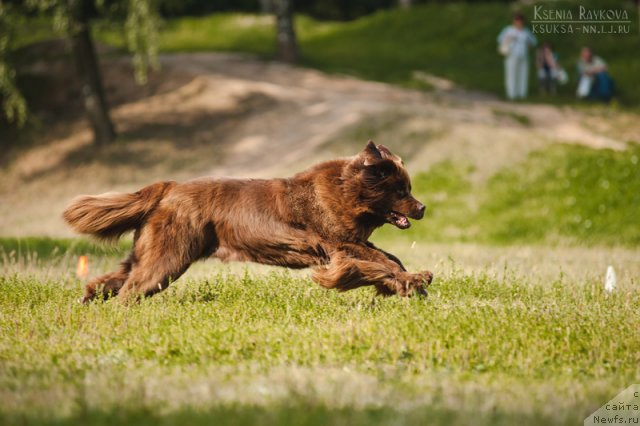 Фотография № 104751