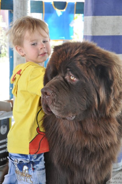 Фотография № 104753