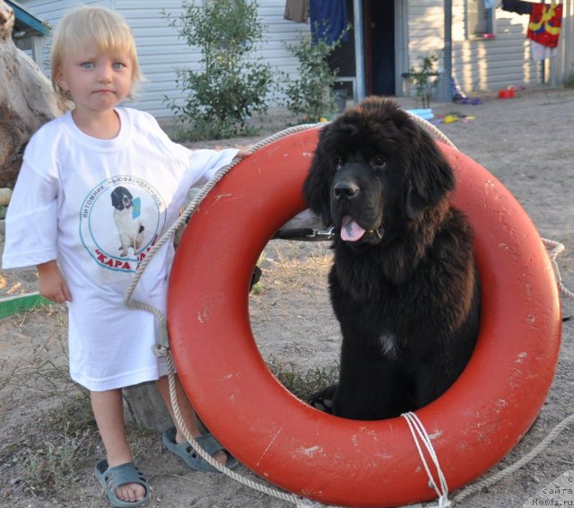 Фотография № 104755