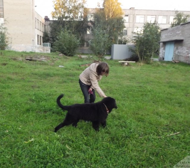 Фотография № 104796