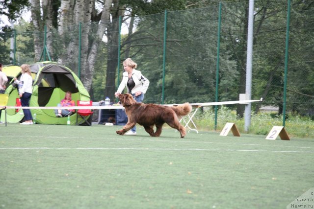 Фотография № 104860