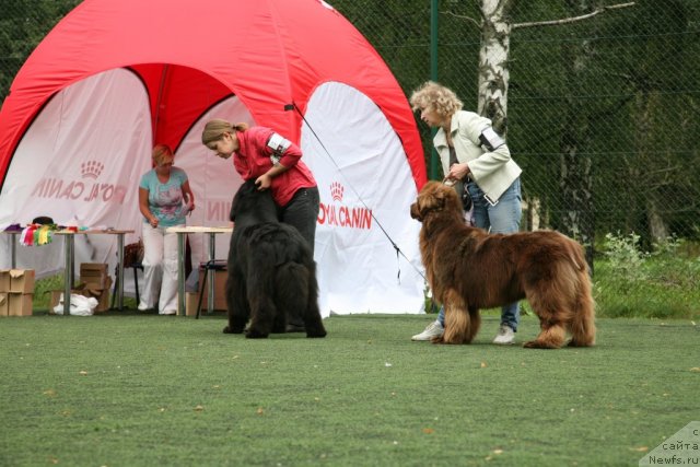 Фотография № 104879