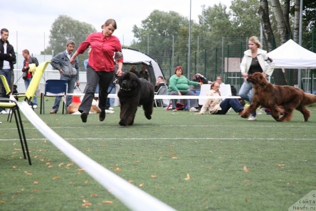 Фотография № 104880