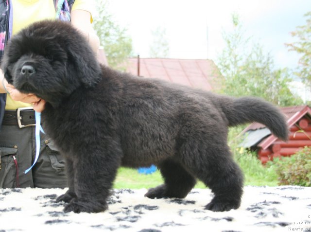 Фотография № 104943