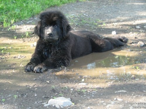 Фотография № 105087