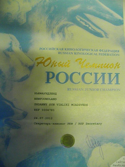 Фотография № 105124