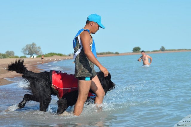 Фотография № 105179