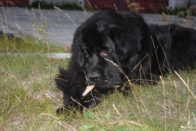 Фотография № 105183