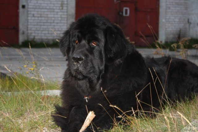 Фотография № 105184