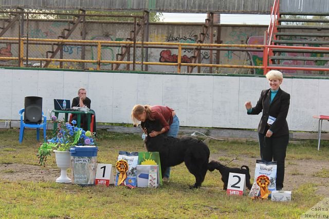 Фотография № 105196