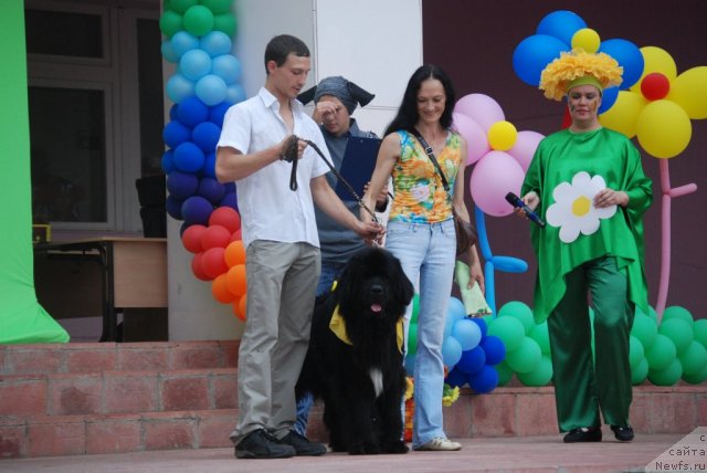 Фотография № 105201